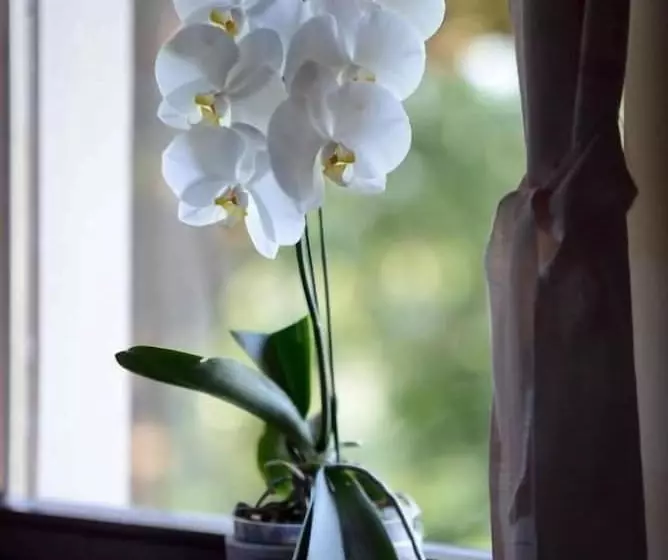 پانسیون Apartment House Koprivnik