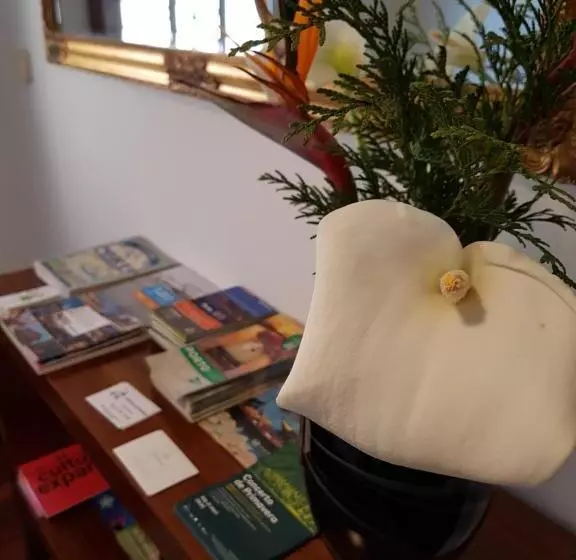 Majatalo Classico Guesthouse