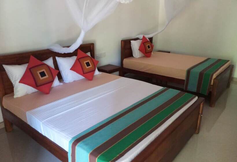 Pensiune Max Safari Villa