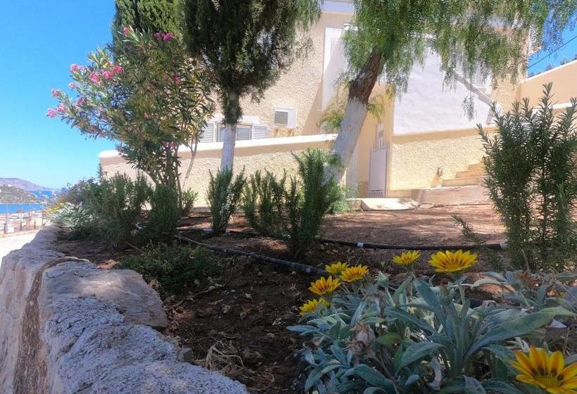 Treehouse Holiday Homes