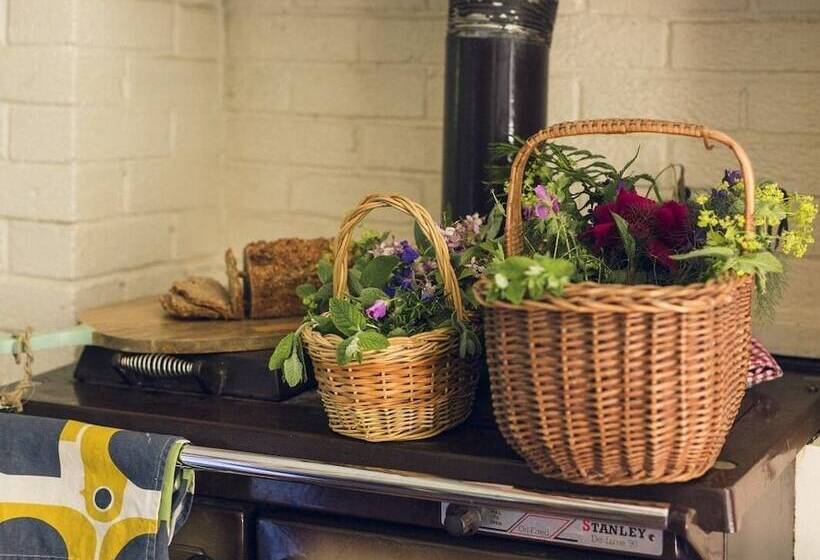 Bed & Breakfast Clonalis House Historic Guest House