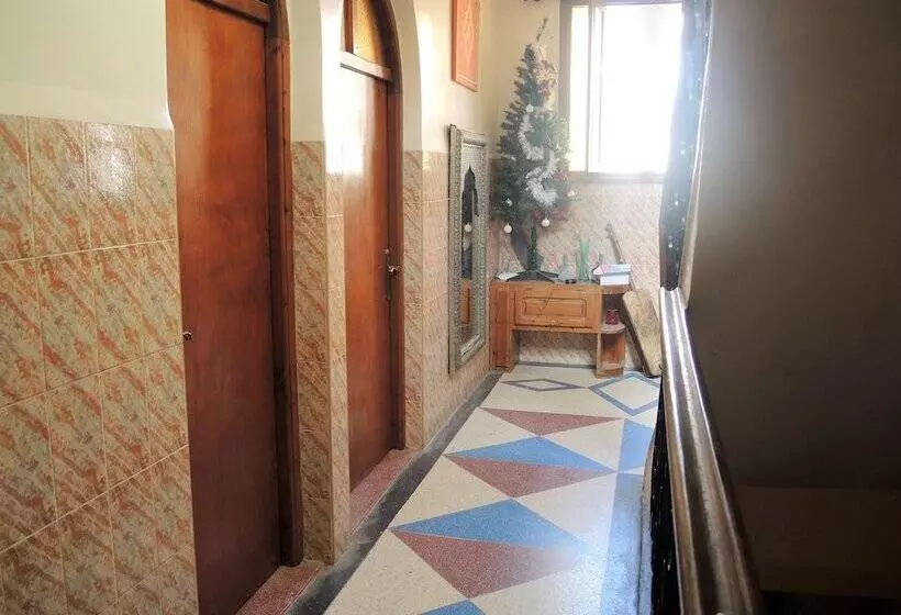 Crocro Surf Hostel
