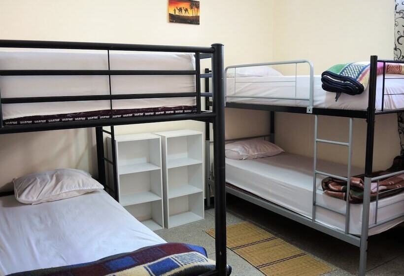 Crocro Surf   Hostel