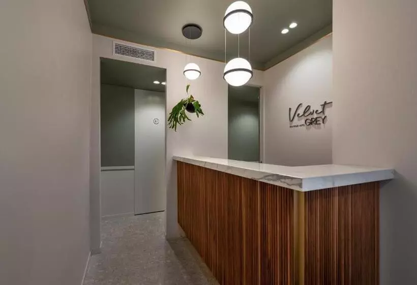 مسافرخانه Velvet Grey Boutique