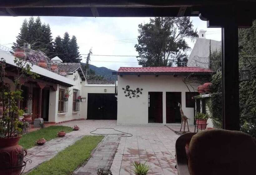 هتل Casa María Eunice