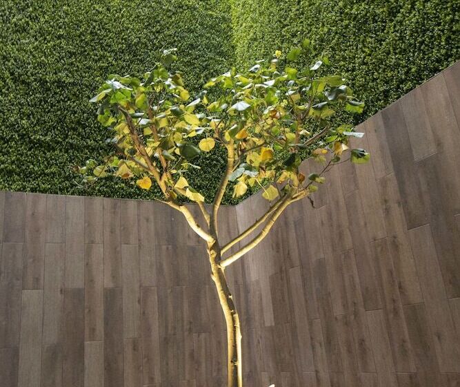 هتل Tierra Viva Miraflores Centro