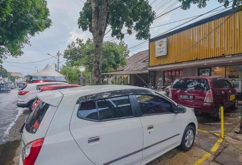 Retkeilymaja Tokyo Cubo