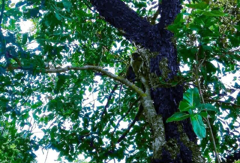 هتل Green Kingdom Resort