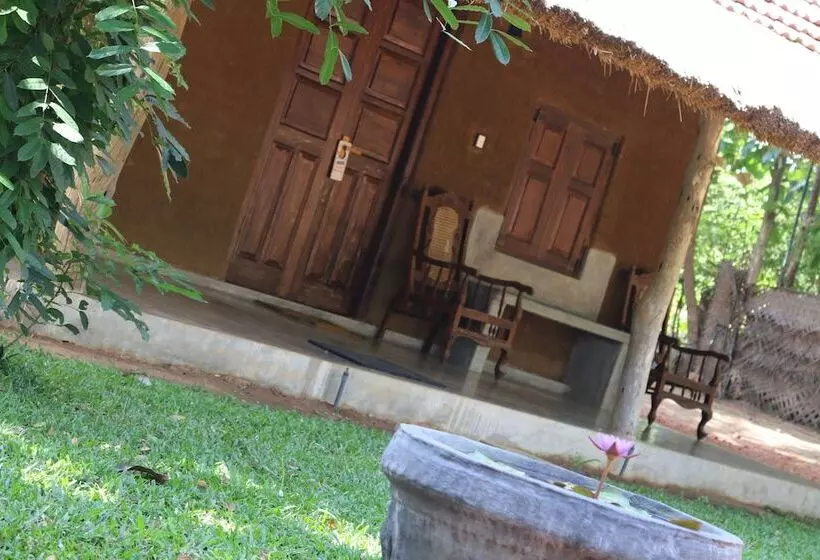 تختخواب و صبحانه Ama Villa