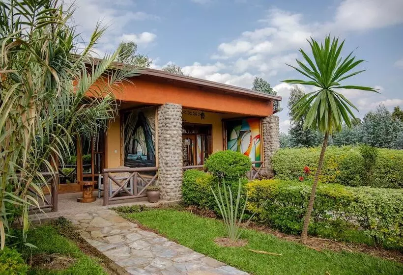 تختخواب و صبحانه Musanze Caves