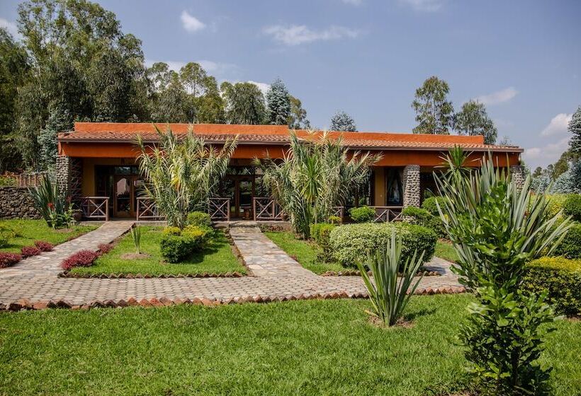 住宿加早餐  Musanze Caves