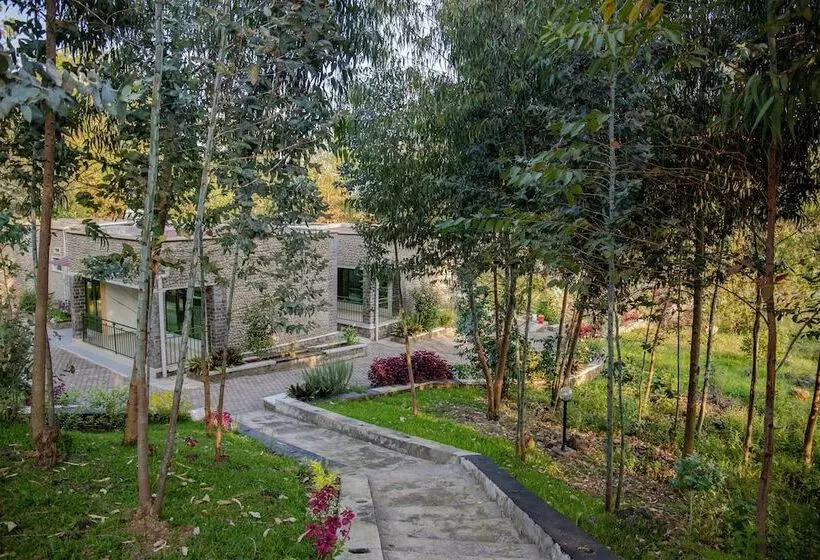 تختخواب و صبحانه Musanze Caves