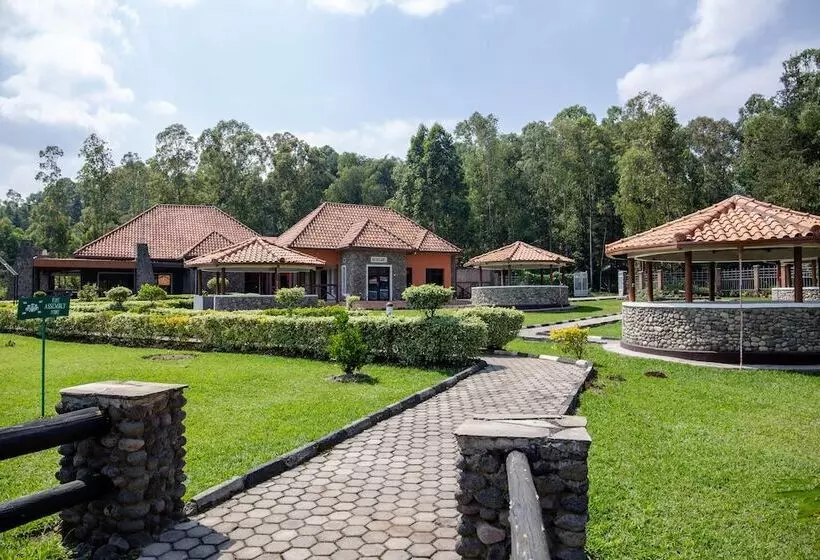 تختخواب و صبحانه Musanze Caves