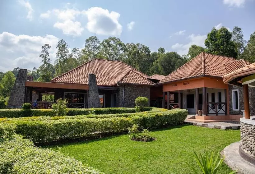 تختخواب و صبحانه Musanze Caves