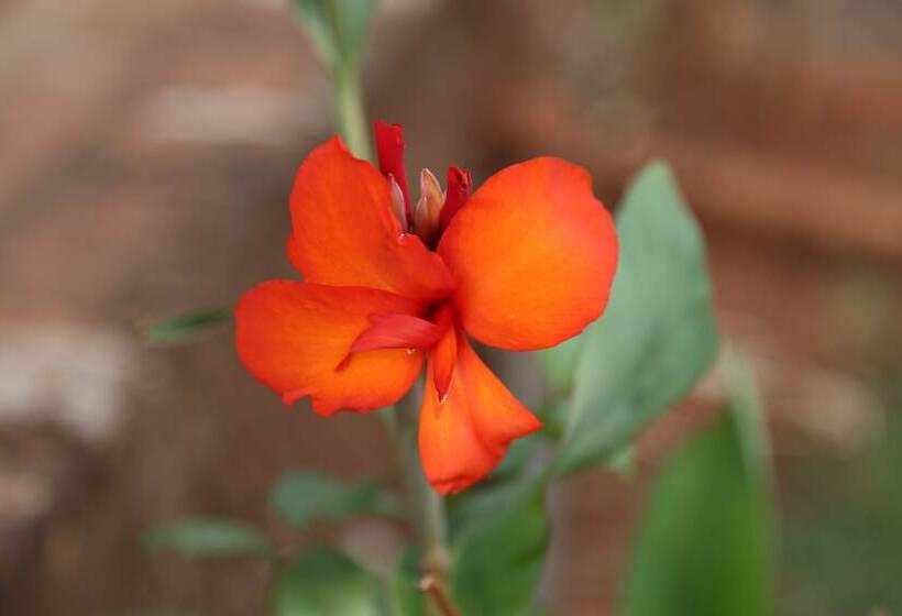 فندق Darya Sarang Resort