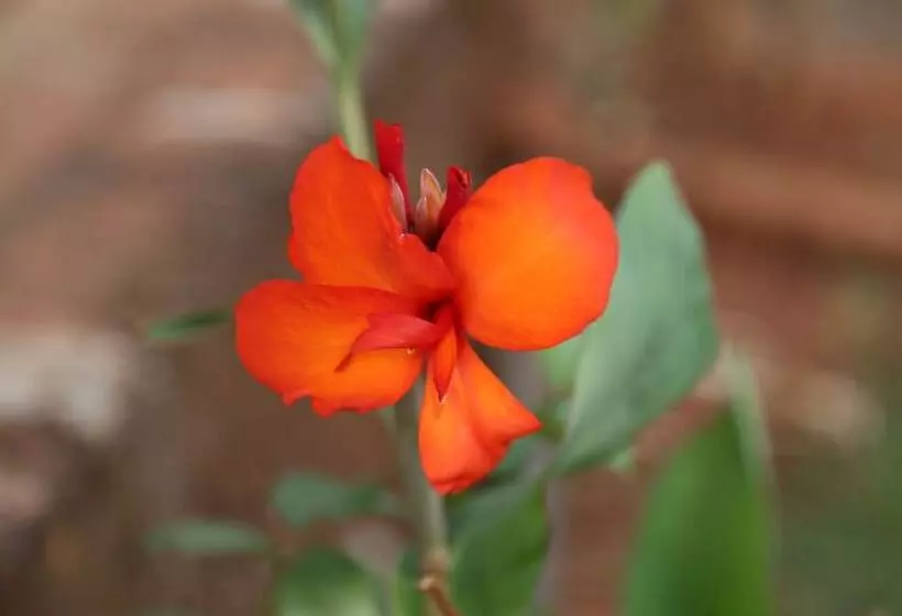 Hotelli Darya Sarang Resort