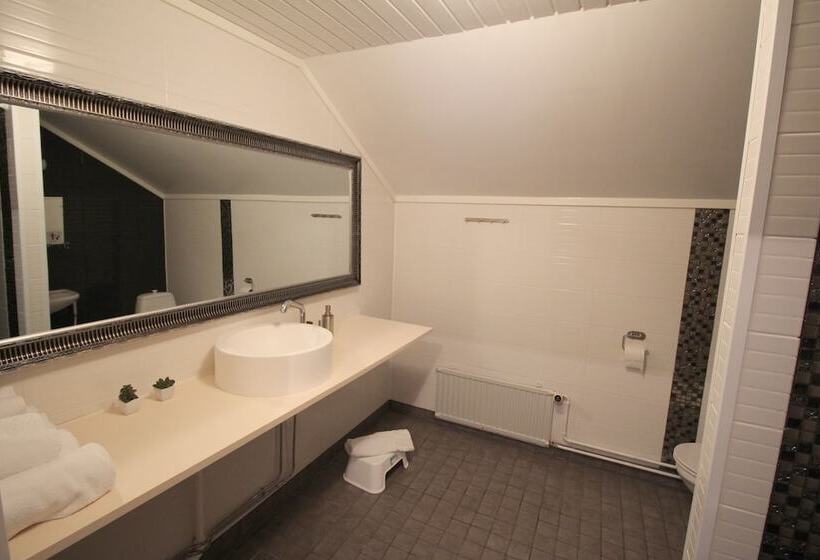 Lauri Historical Log House Manor