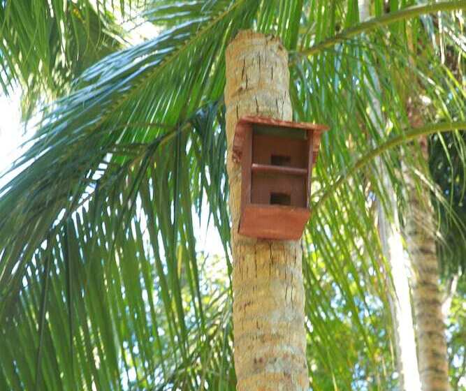 مبيت وإفطار Lime Cabanas Sri Lanka