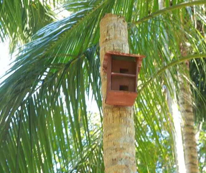 Aamiaismajoitus (B&B) Lime Cabanas Sri Lanka