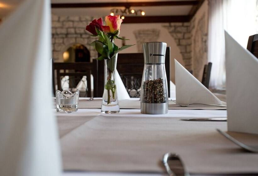 酒店 Frankenthaler Hof