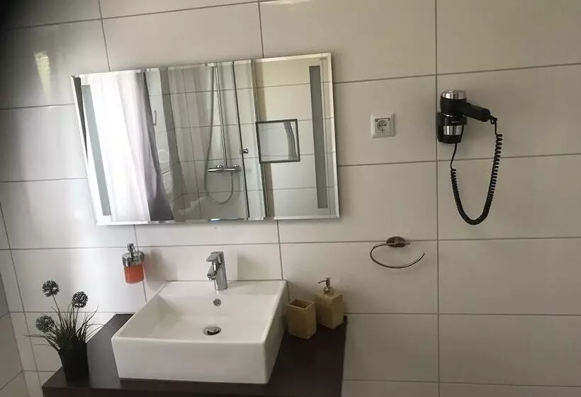 Hotelli Frankenthaler Hof