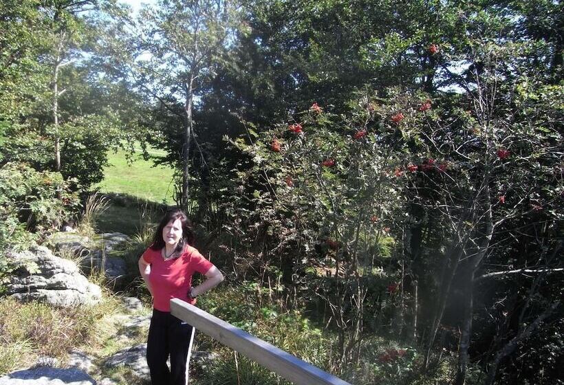 Ferienhaus Mitterdorf