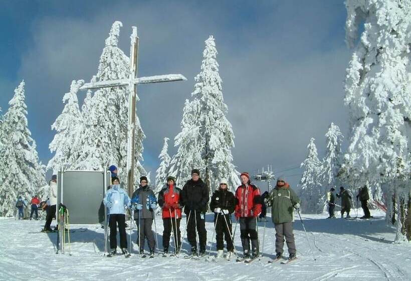 Ferienhaus Mitterdorf