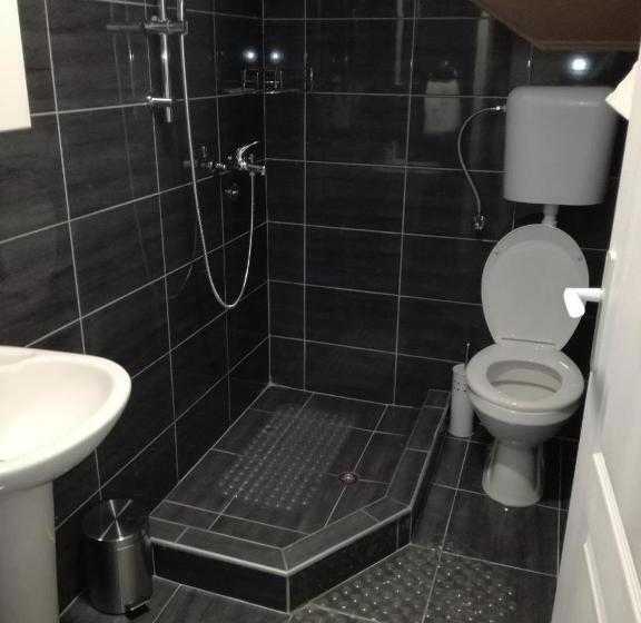 پانسیون Smeštaj Olivera Niška Banja