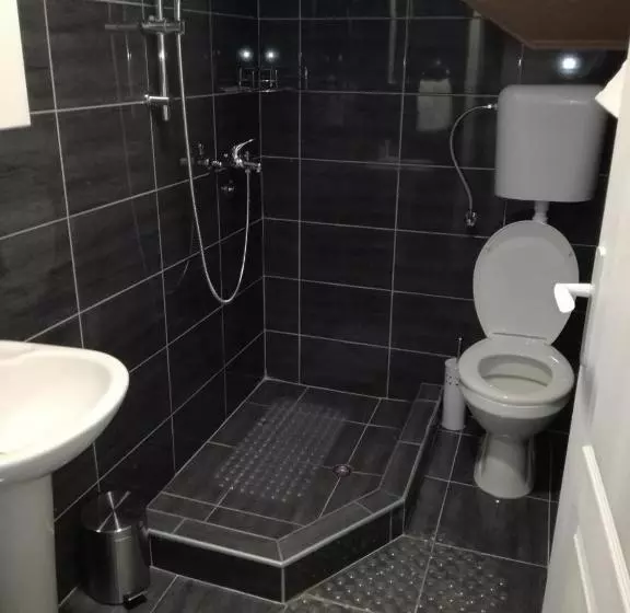 پانسیون Smeštaj Olivera Niška Banja