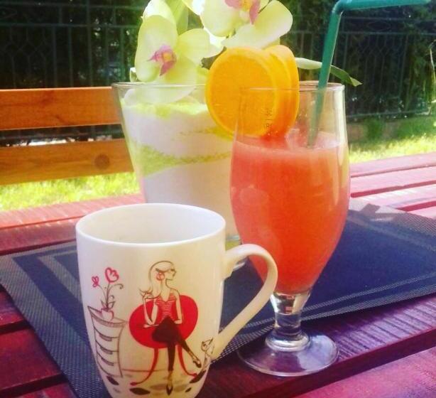 پانسیون Smeštaj Olivera Niška Banja