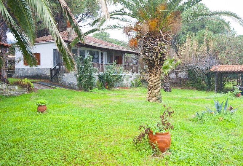 Docker Beachfront House By Halkidiki Villas