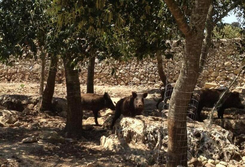 乡村酒店  Masseria Autigne