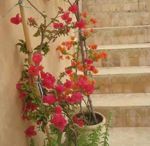 پانسیون Dar Houdou
