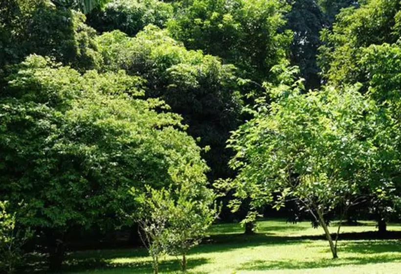 Agua Milagrosa Villa