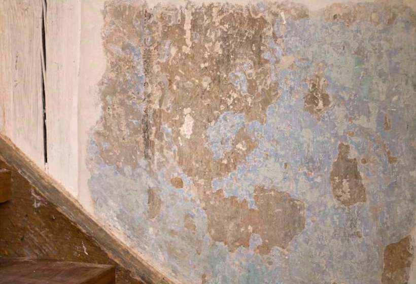 Baumgartners Dreiseithof Historisch, Modern, Zentral