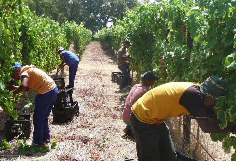 צימר Allee Bleue Hospiltality