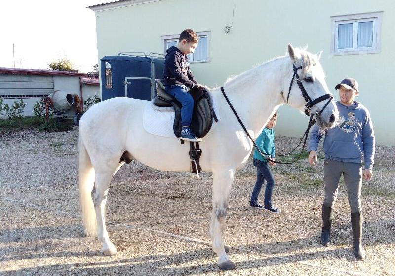 Coudelaria Residence