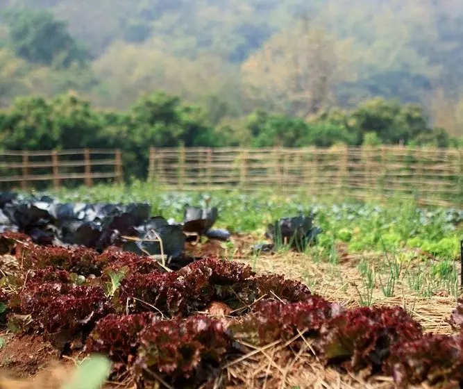 Suanthip Vana Resort