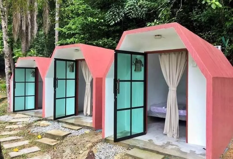 ホテル Eco Capsule Resort