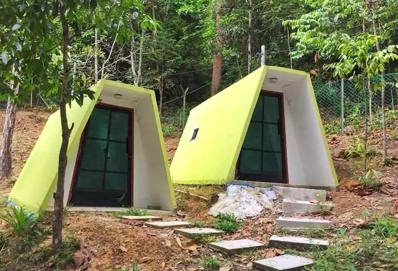 ホテル Eco Capsule Resort