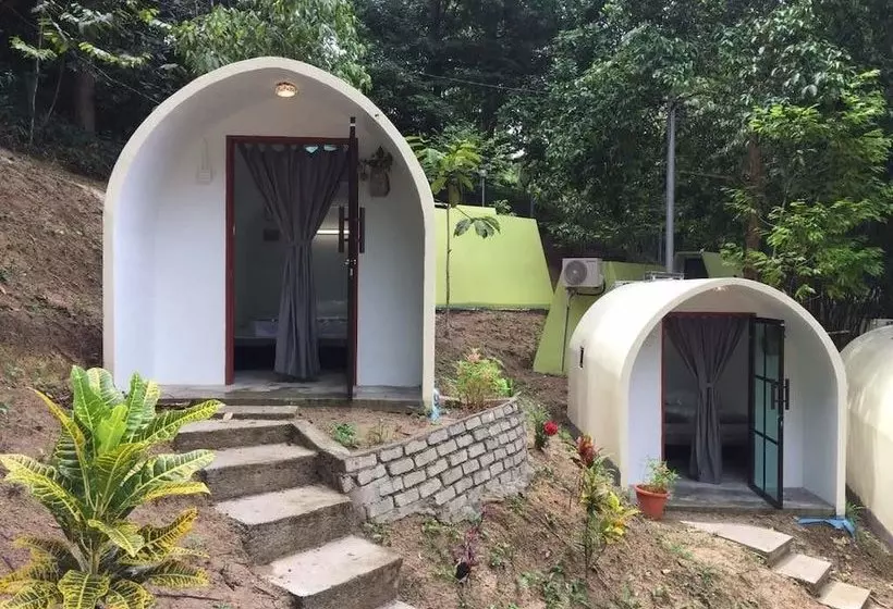 ホテル Eco Capsule Resort