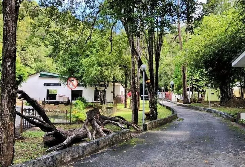 ホテル Eco Capsule Resort