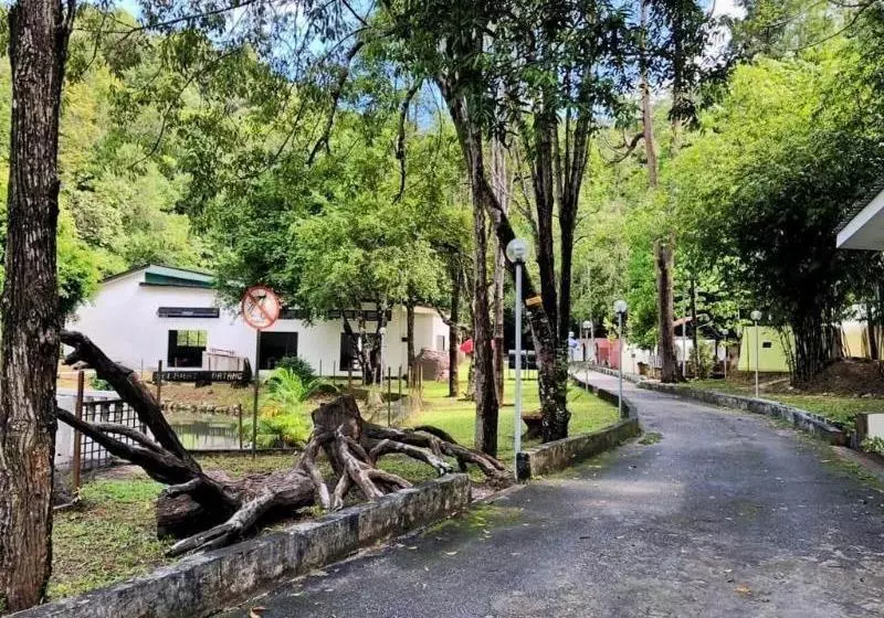 ホテル Eco Capsule Resort