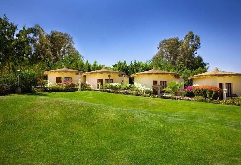 هتل Xperience Hilltop Beach Resort