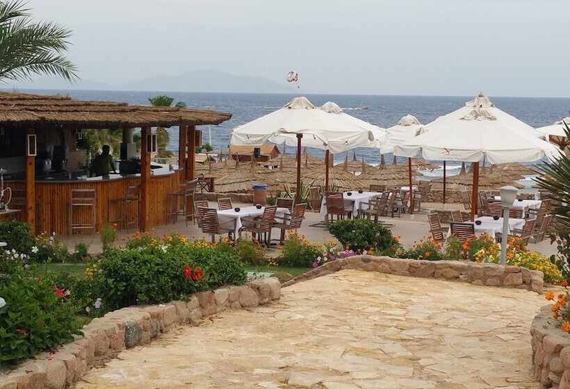 هتل Xperience Hilltop Beach Resort