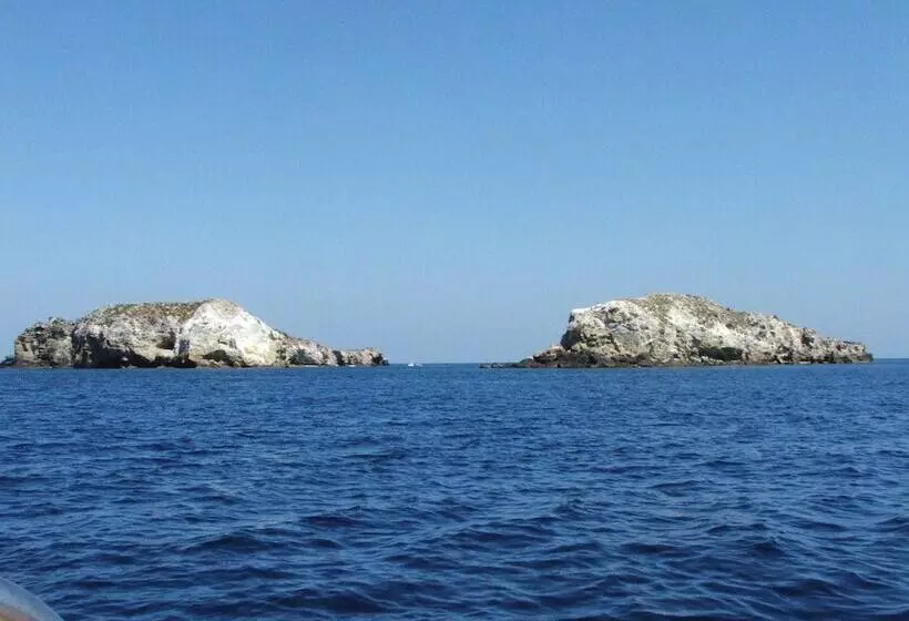 ホテル Eunymos   Trattoria Da Francesco Panarea