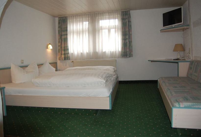 Отель Schneider