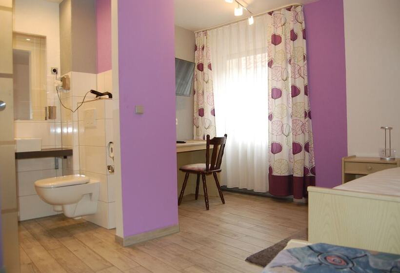 Отель Schneider