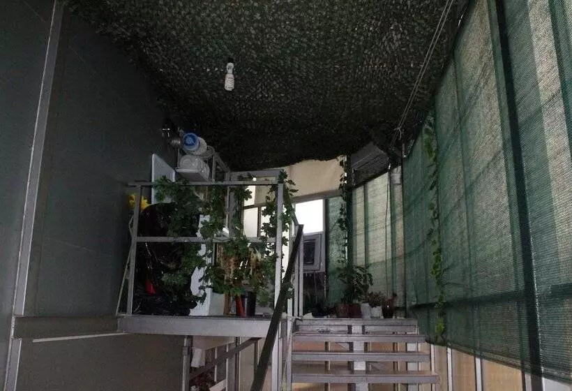 Majatalo Delif Guest House