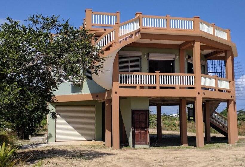 Savannah Sand Dollar